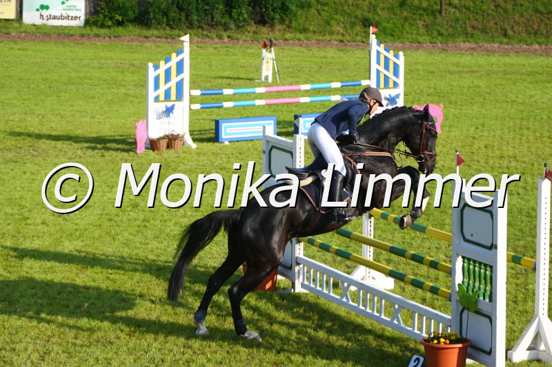 005M3678_Fantstic Touch_Springpferde A.JPG